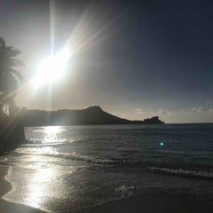 Hawaii Miho.Rのプロフィール