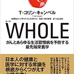 今さら聞けない 大文字 小文字の使い分けってルールがあるの 翻訳で食べていく方法 プロの翻訳者養成所