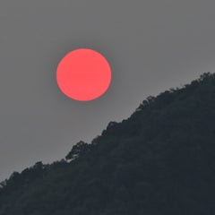 もん田のプロフィール