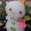 kittyのサムネイル