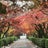 京寺社の秋