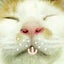 うえむのサムネイル
