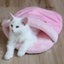 画像 森の猫　Pato'sCafe【パトズカフェ】のユーザープロフィール画像