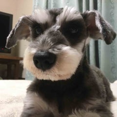 ナースりょーこ(初マタ中)のプロフィール
