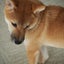ゆうのサムネイル