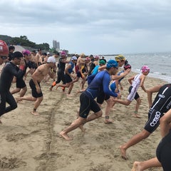 PTAを前向きな活動に変えるノウハウ公開ブログのプロフィール