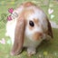 みゅうのサムネイル