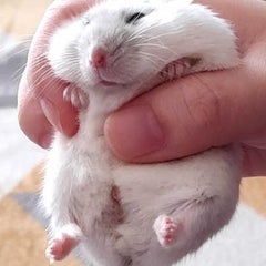 キリューさんのプロフィール