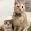 むぎ＆なぎのサムネイル