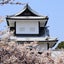 画像 カメラ片手に日本百名城巡りのブログのユーザープロフィール画像
