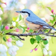 プチプチお得情報★ひばりのお小遣い稼ぎ★のサムネイル