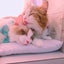 あしゅのサムネイル