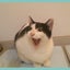 画像 化け猫ゼロと、双極おかんのユーザープロフィール画像