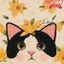 発達障害ママ♡ニャンの節約日記♡のサムネイル