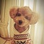ogurixのサムネイル