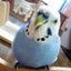 あす卵のサムネイル