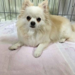 51歳から始めたブログのプロフィール