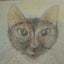 画像 猫ちゃんの刺繍ポーチと猫ちゃんタロットのさび子の母（京都）のユーザープロフィール画像