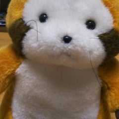 rascalのプロフィール