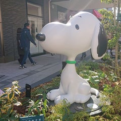 カブマニアのプロフィール