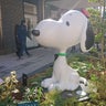 カブマニアのプロフィール