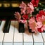 画像 姫路ピアノ教室〜0歳からのリトミック教室♪どるちぇ音楽教室♪のユーザープロフィール画像