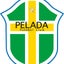 PELADA サッカークラブのサムネイル
