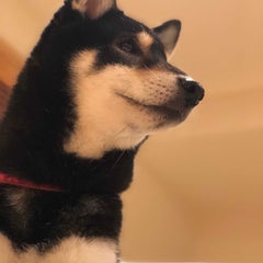 緩和ケア医Drこまち〜生きるをささえる〜のプロフィール
