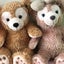 うさピーのサムネイル