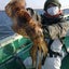 画像 ～へたれ釣り日記～相模湾・東京湾の船釣り日記のユーザープロフィール画像