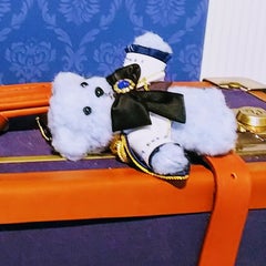 こんろりのプロフィール