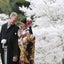 画像 嚴島神社結婚式 　宮島の100年宿 錦水館のブログのユーザープロフィール画像