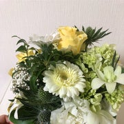 みみたんのおすすめのサムネイル