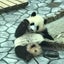 百々怒涛のサムネイル