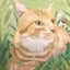 画像 nonpiの保護猫活動日記のユーザープロフィール画像