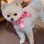あゆぽんのサムネイル