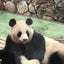 はちはのサムネイル