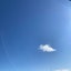 sky-blueのサムネイル