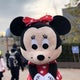 pekoのおすすめのサムネイル