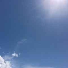 読書感想 君の膵臓を食べたい 住野よる 読書感想や料理ブログ 読書感想 君の膵臓を食べたい 住野よる 読書感想や料理ブログ