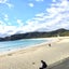 明日葉のサムネイル