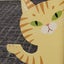ねこのサムネイル