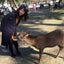 ichikoloungeのサムネイル