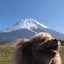 sakanaのサムネイル