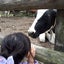 oosakanooyaziのサムネイル