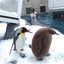 monkuma8のサムネイル