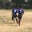 勝原フットボールクラブ