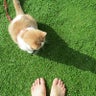 クラピアちゃんねるのプロフィール