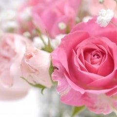 なおのプロフィール
