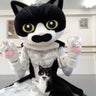 にゃんこバレリーナのプロフィール